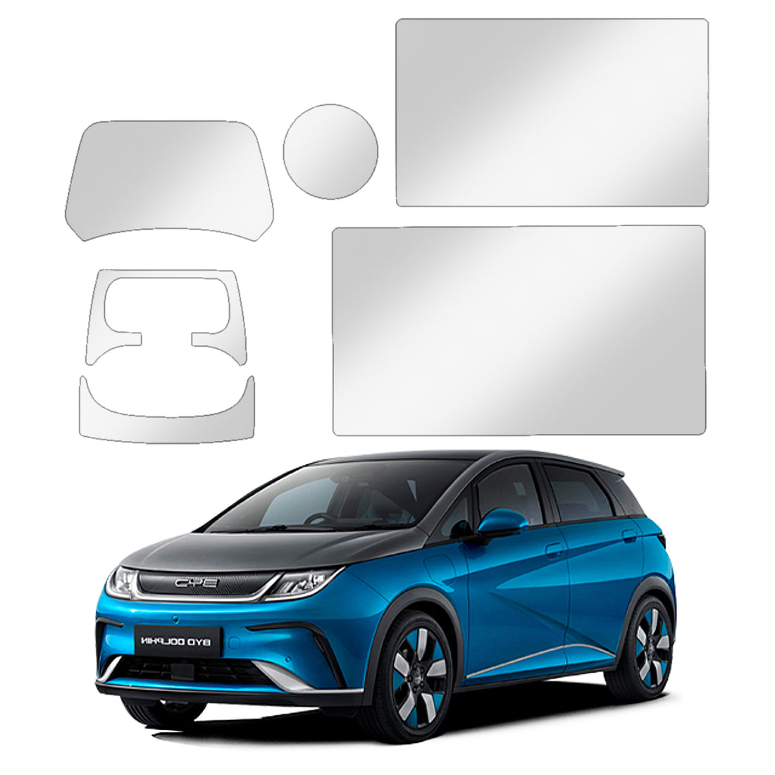 Película PPF BYD Dolphin