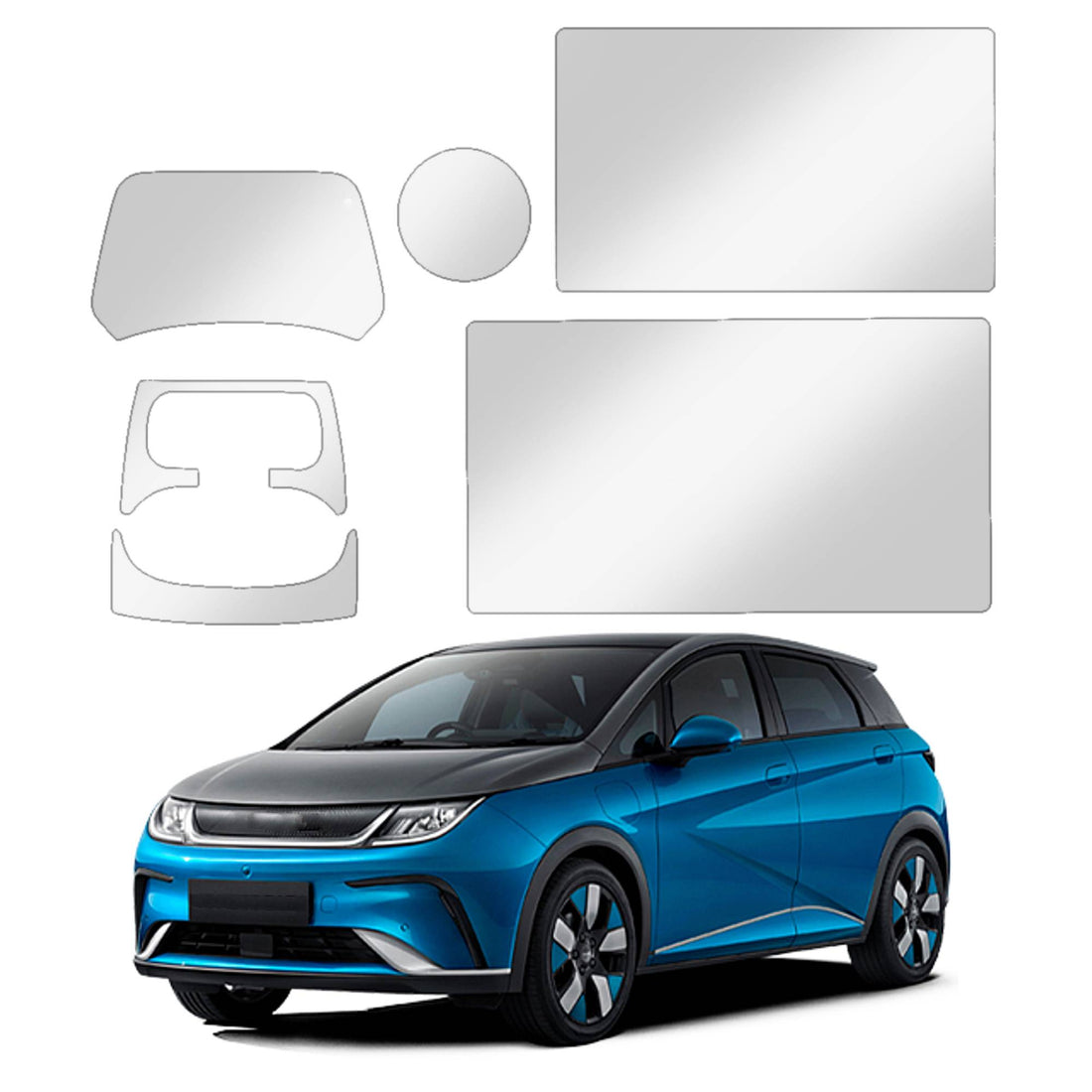 Película PPF BYD Dolphin