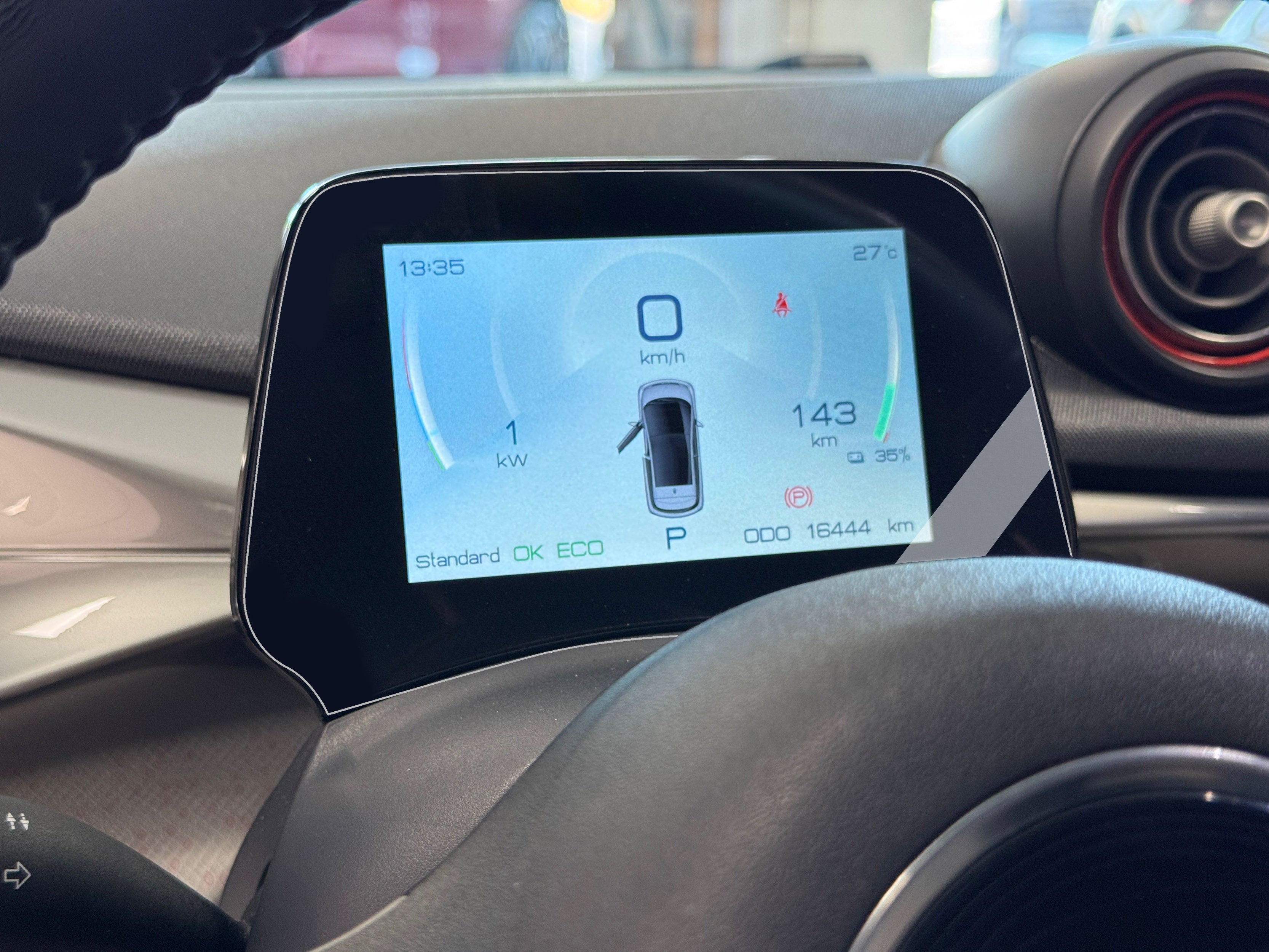 Película PPF BYD Dolphin